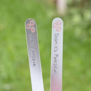 Stamped With Love - Personalised Pumpkin Plant Markers